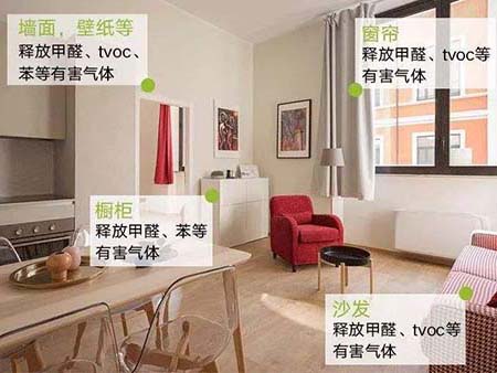 DIY室内除醛去味产品